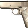 Rock Island Armory M1911-A1 GI Nickel .45 ACP 5" Barrel 8...