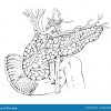 KelTec KP50 5.7x28mm Pistol KelTec KP50 5.7x28mm Pistol - Handguns - PRK Arms