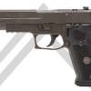 Shop P220 LEGION 10MM for sale